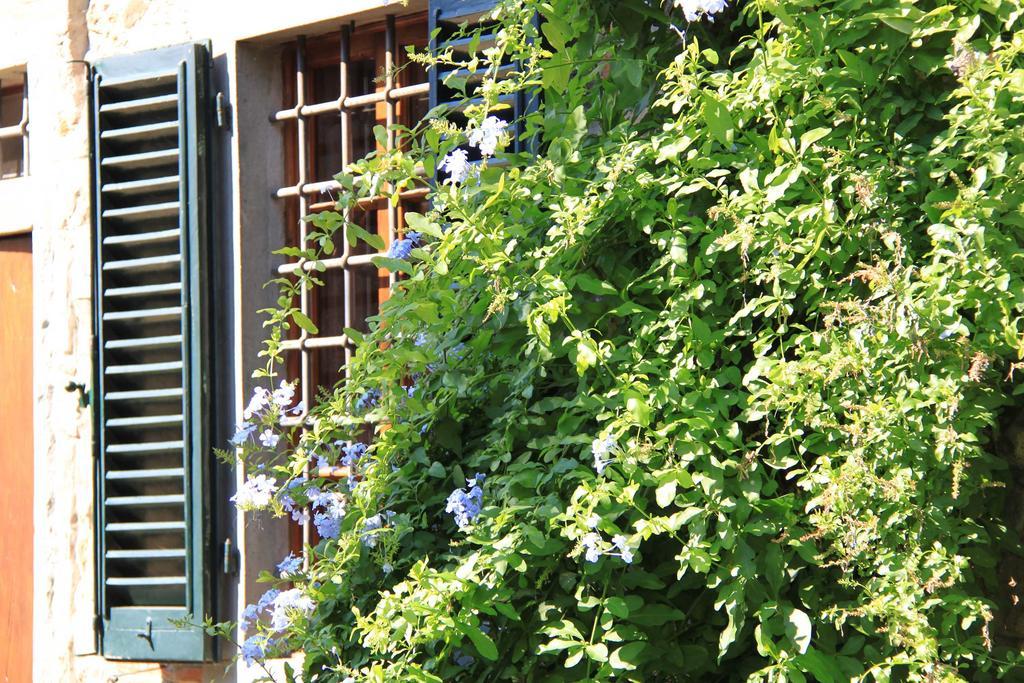 Antica Casa "Le Rondini" Bed & Breakfast Borgo a Buggiano Exterior photo