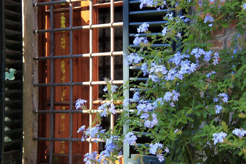 Antica Casa "Le Rondini" Bed & Breakfast Borgo a Buggiano Exterior photo